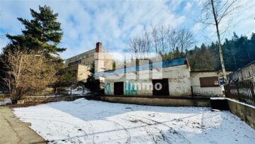 Gewerbeensemble mit Hallen und Büroflächen auf großem Grundstück als Entwicklungareal 07958 Hohenleuben, Halle